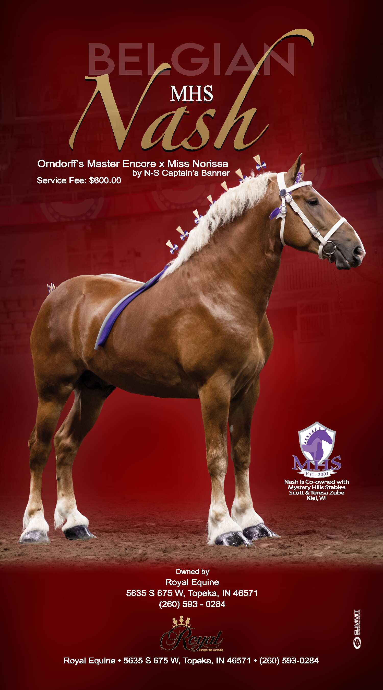 Indiana Belgian Draft Horse Association